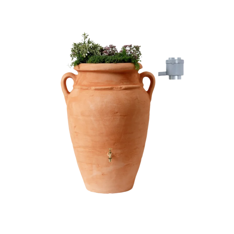 chouchousdesa-1830635