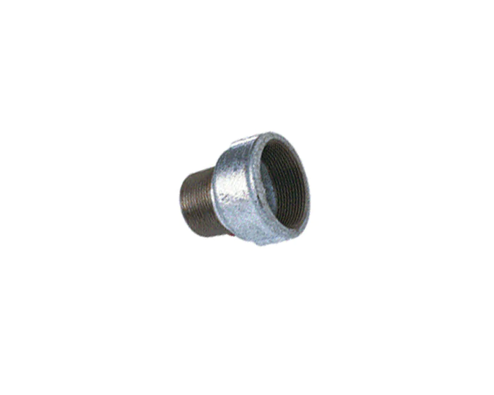 jetly-1637434