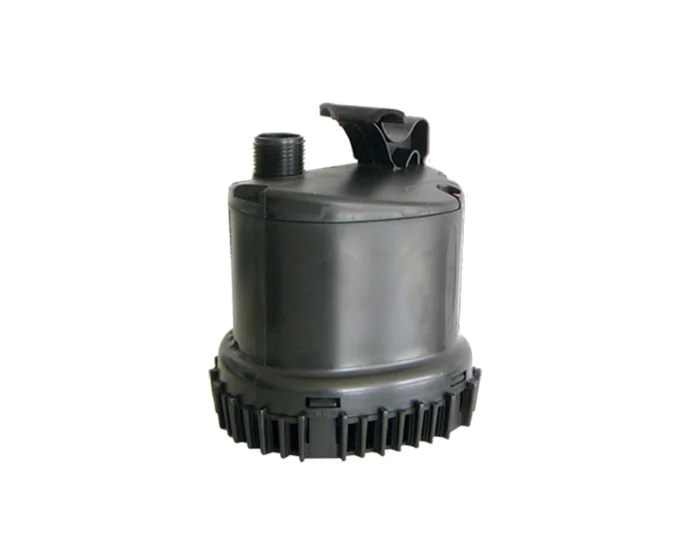 jetly-1640785