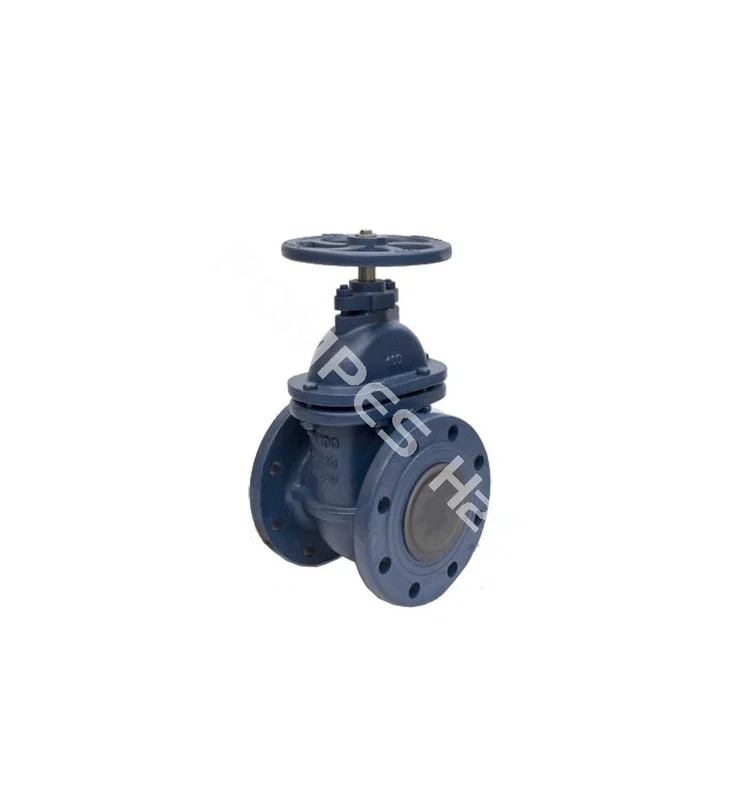 pompes-h2o-1670341