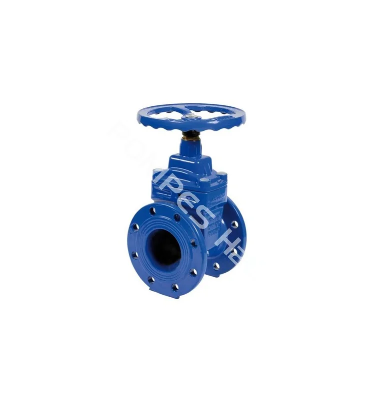 pompes-h2o-1671886