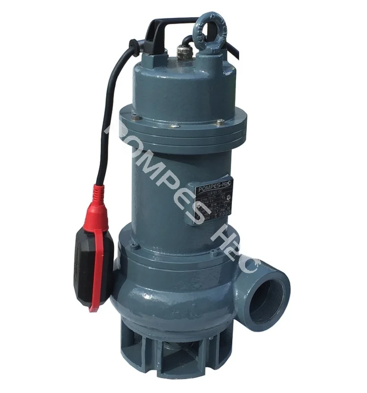 pompes-h2o-1672691