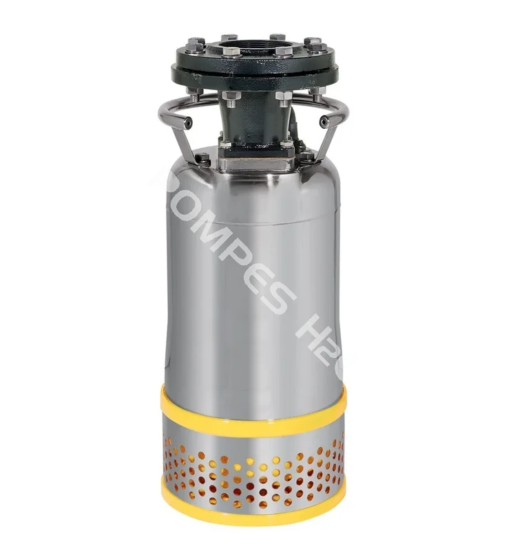pompes-h2o-1672720