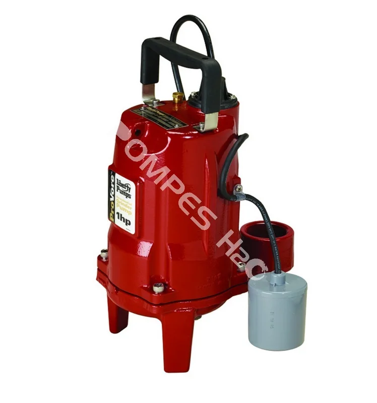pompes-h2o-1672809
